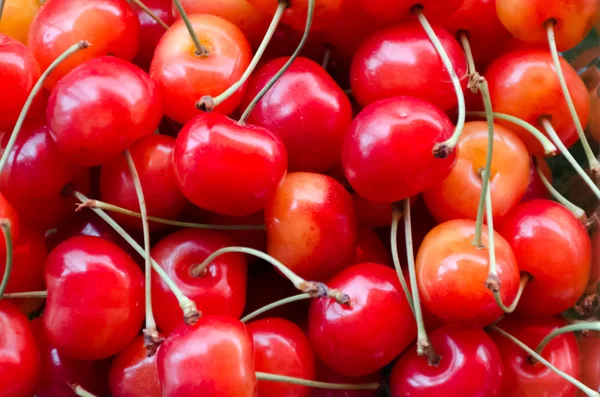 Cerezas rojas — Foto de Stock