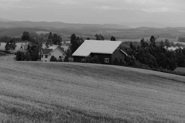 Country side landscape — Stock Photo, Image