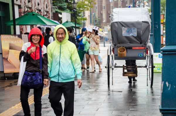 Día de lluvia en Hotaru — Foto de Stock