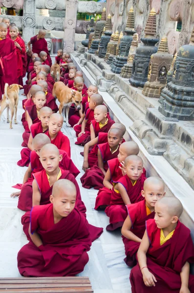 BODHIGAYA - INDIA, 11 DE MAYO DE 2014: Monje budista y novicios del Tíbet — Foto de Stock