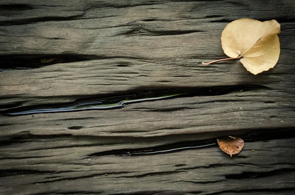 潮湿的木头桌子木板与树叶背景 — 图库照片