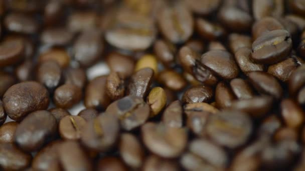 Pražená kávová zrna se video — Stock video