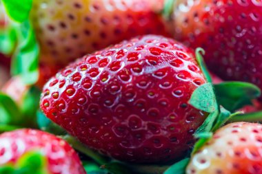 çilek makro bakış