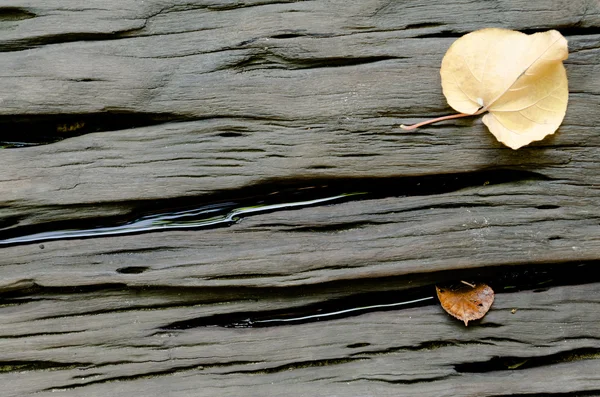 Fond en bois dur avec feuilles séchées — Photo