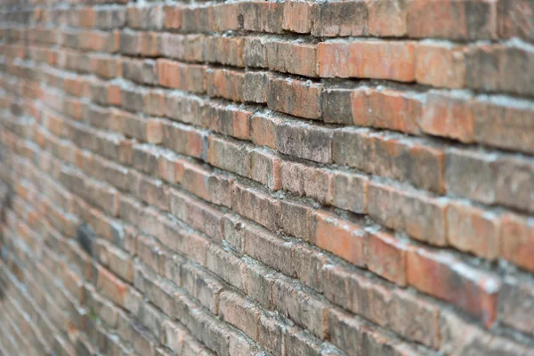 Bakstenen muur — Stockfoto