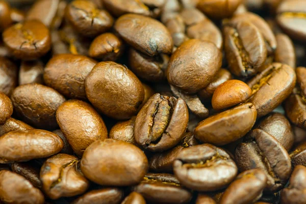 Coffee beans background — Stock Photo, Image