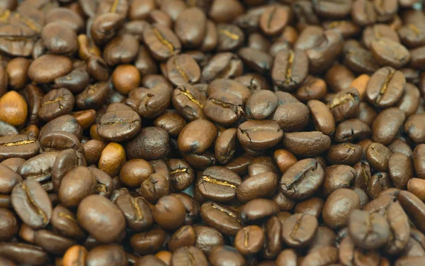 Coffee beans background — Stock Photo, Image