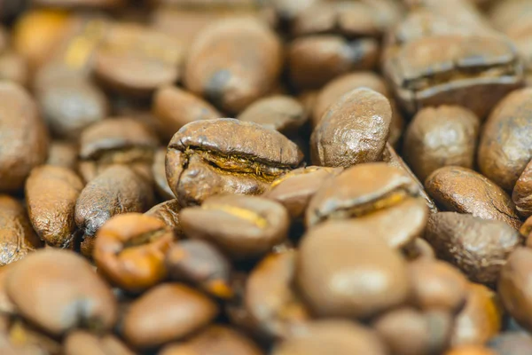 Coffee beans macro — Stock Photo, Image