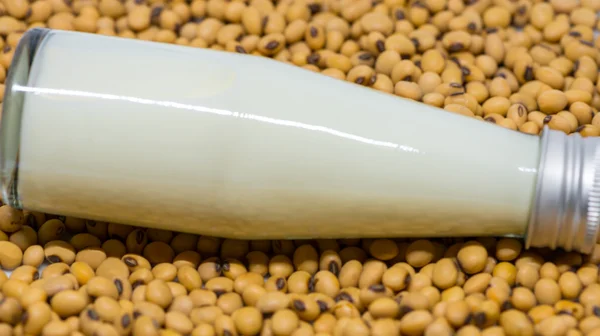 Soy milk bottle on soy beans — Stock Photo, Image