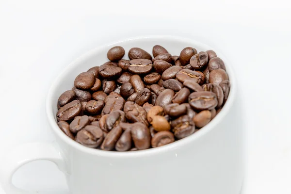 Coffee beans seed in white cup isolated highkey — Stock Photo, Image