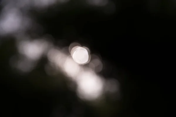 Borrão desfocado bokeh de escuro na floresta de bambu backgrou abstrato — Fotografia de Stock