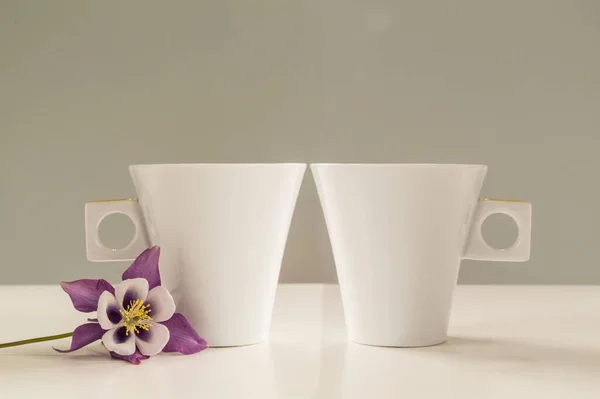 Two Cups Coffee Beautiful Flower White Table — Stock Photo, Image