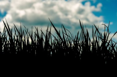 Mavi gökyüzü arka plan üzerinde çim siluet