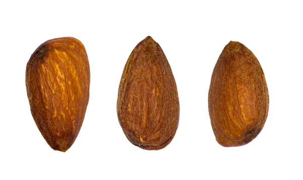 Almond nuts — Stock Photo, Image