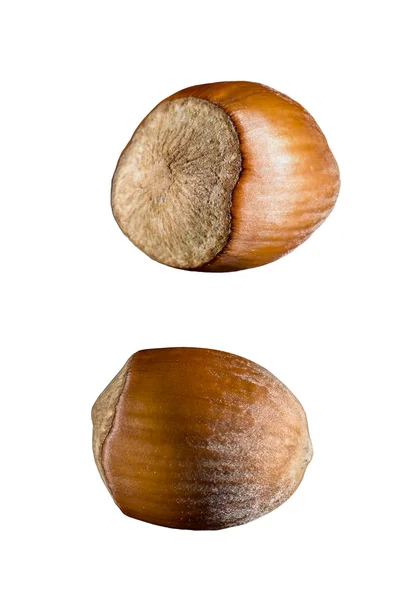 Hazel nut set close up — Stock Photo, Image