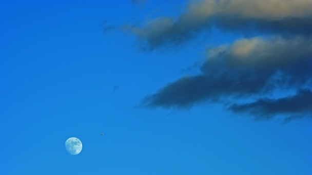 Luna nuvole di cielo blu — Video Stock