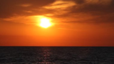 Okyanusu günbatımı kuş