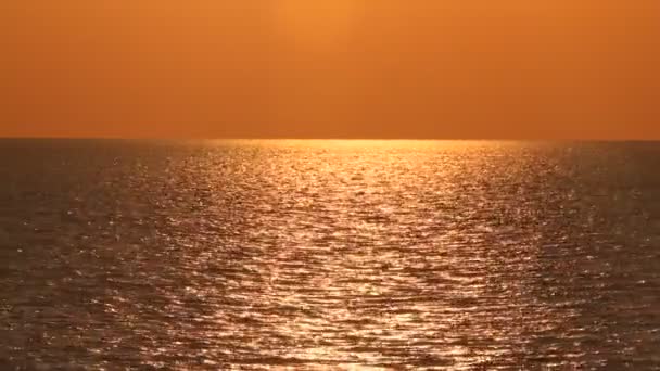 Aves del horizonte del mar puesta del sol — Vídeo de stock