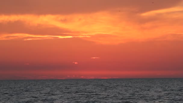 Horizonte oceánico después de la puesta del sol — Vídeo de stock