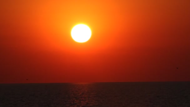 Sun sea horizon — Stock Video