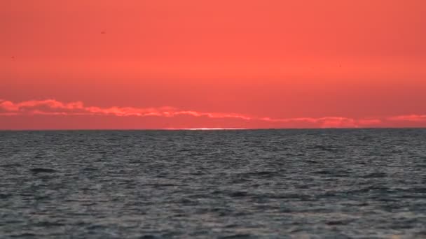 Horizonte del mar después de la puesta del sol — Vídeo de stock