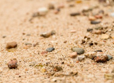 Doğa arka plan: kum yüzeyi ve çakıl closeup nehir ya da göl kıyısında kısmen defocused bir desen oluşturan. Bir kartpostal veya duvar kağıdı olarak kullanılabilir.
