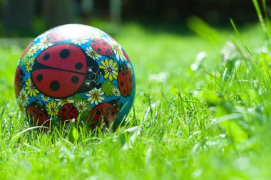 hierba pelota juguete