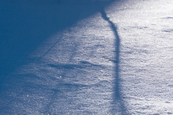 Winter Seasonal Nature Abstract Background Pattern Forming Shadow Snow Tree — Stock Photo, Image