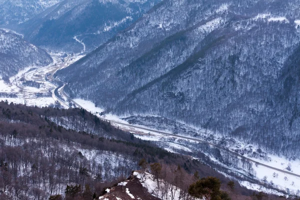 Kış vadi manzarası — Stok fotoğraf