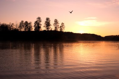 Sunrise peyzaj göl