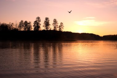 Sunrise landscape lake clipart