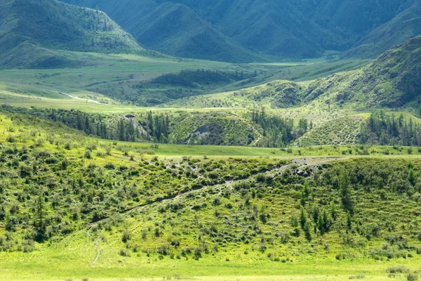 Munți pajiști pădure — Fotografie, imagine de stoc