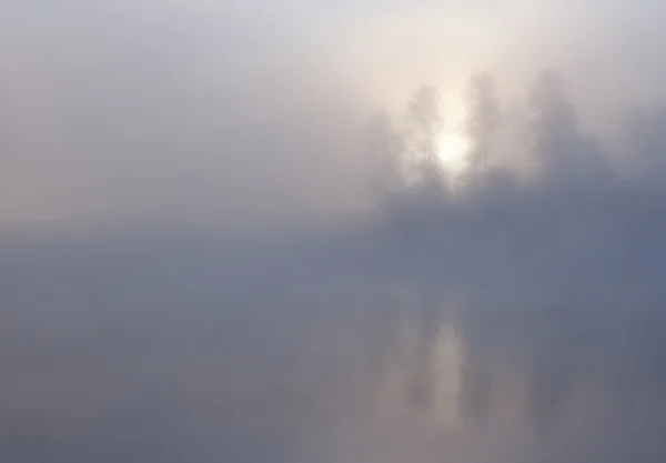 Naturaleza Amanecer Mañana Escena Verano Bosque Árboles Visibles Través Niebla —  Fotos de Stock