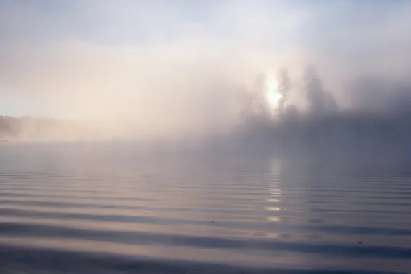 Утренняя Природа Пейзаж Восход Закат Деревьями Окружении Тумана Тумана Отражающейся — стоковое фото