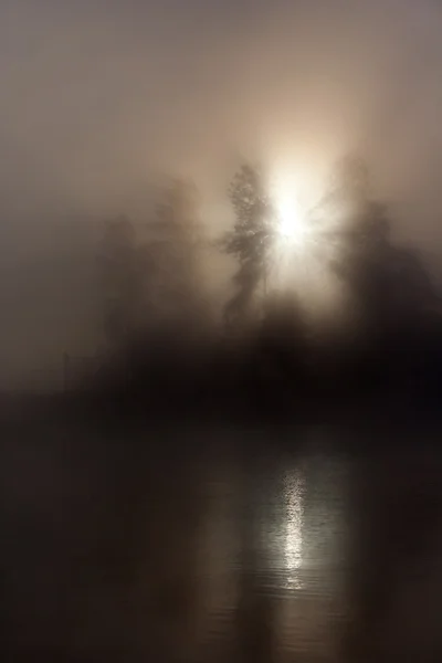 Ранкова Сцена Природи Ландшафт Схід Сонця Захід Сонця Деревами Оточеними — стокове фото