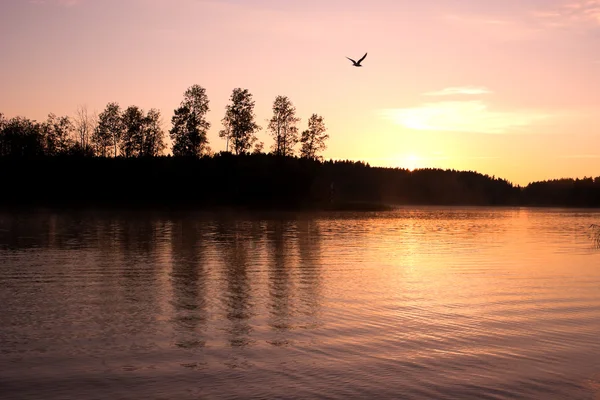 Sunrise liggande sjön — Stockfoto