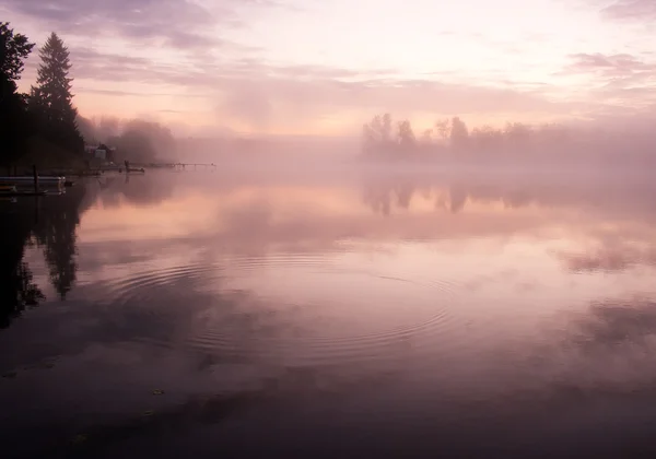 Ранок мряка води Стокова Картинка