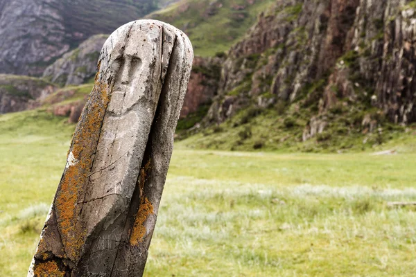 Ancient deer stone — Stock Photo, Image