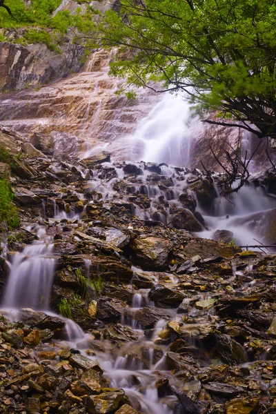 Wodospad skały drzew — Zdjęcie stockowe