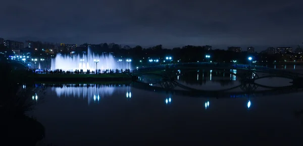 Siluetas de noche fuente — Foto de Stock