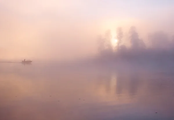 Naturaleza Mañana Niebla Escena Brumosa Paisaje Cielo Agua Árboles Sol —  Fotos de Stock