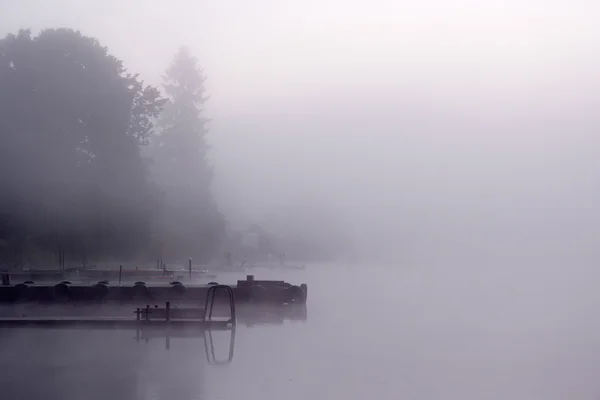 Mlze Lake zakotvení stromy — Stock fotografie