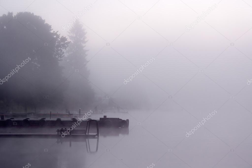 Fog Lake Moorage Trees