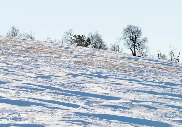 Sezonowy Charakter Obraz Zimy Górski Krajobraz Drzew Czarne Sylwetki Snowy — Zdjęcie stockowe