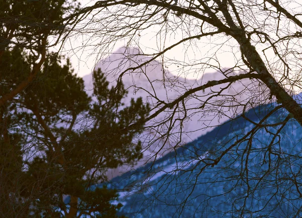 Montanhas Inverno Paisagem Noturna Cáucaso Rússia Picos Montanha Longe Cobertos — Fotografia de Stock