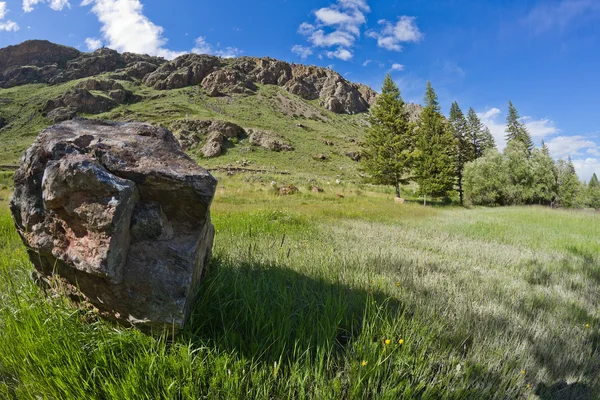 Pradera montañas de piedra —  Fotos de Stock