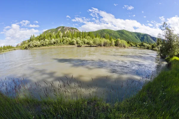 Altai: Flod - Stock-foto