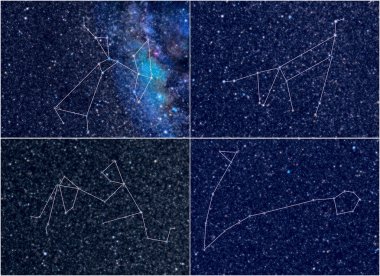 Zodiac constellations Sagittarius Capricorn Aquarius Pisces clipart