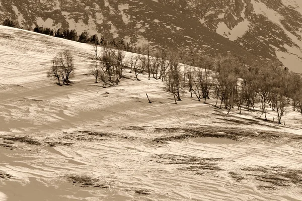 Seasonal Nature Winter Image Mountain Landscape Trees Black Silhouettes Snowy — Stock Photo, Image