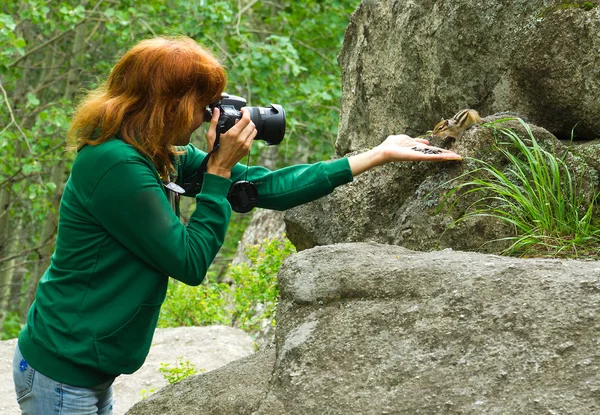 Fotógrafo ardilla de vida silvestre — Foto de Stock